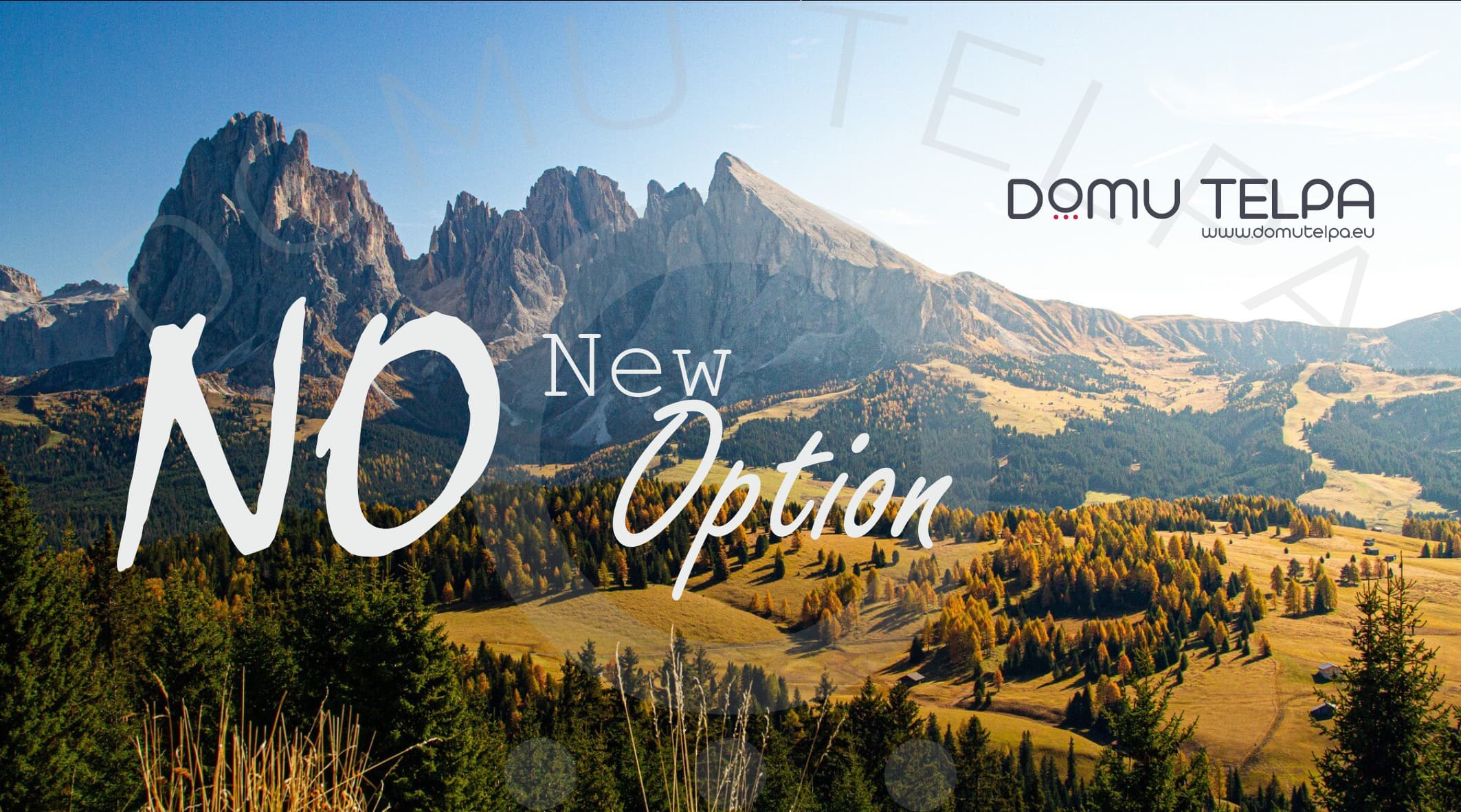 New Option