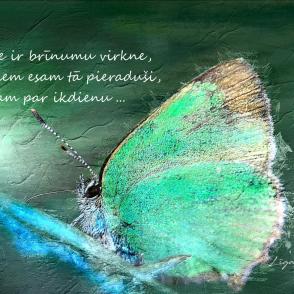 Brīnumi