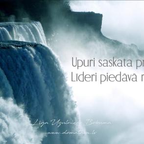 Upuris Līderis